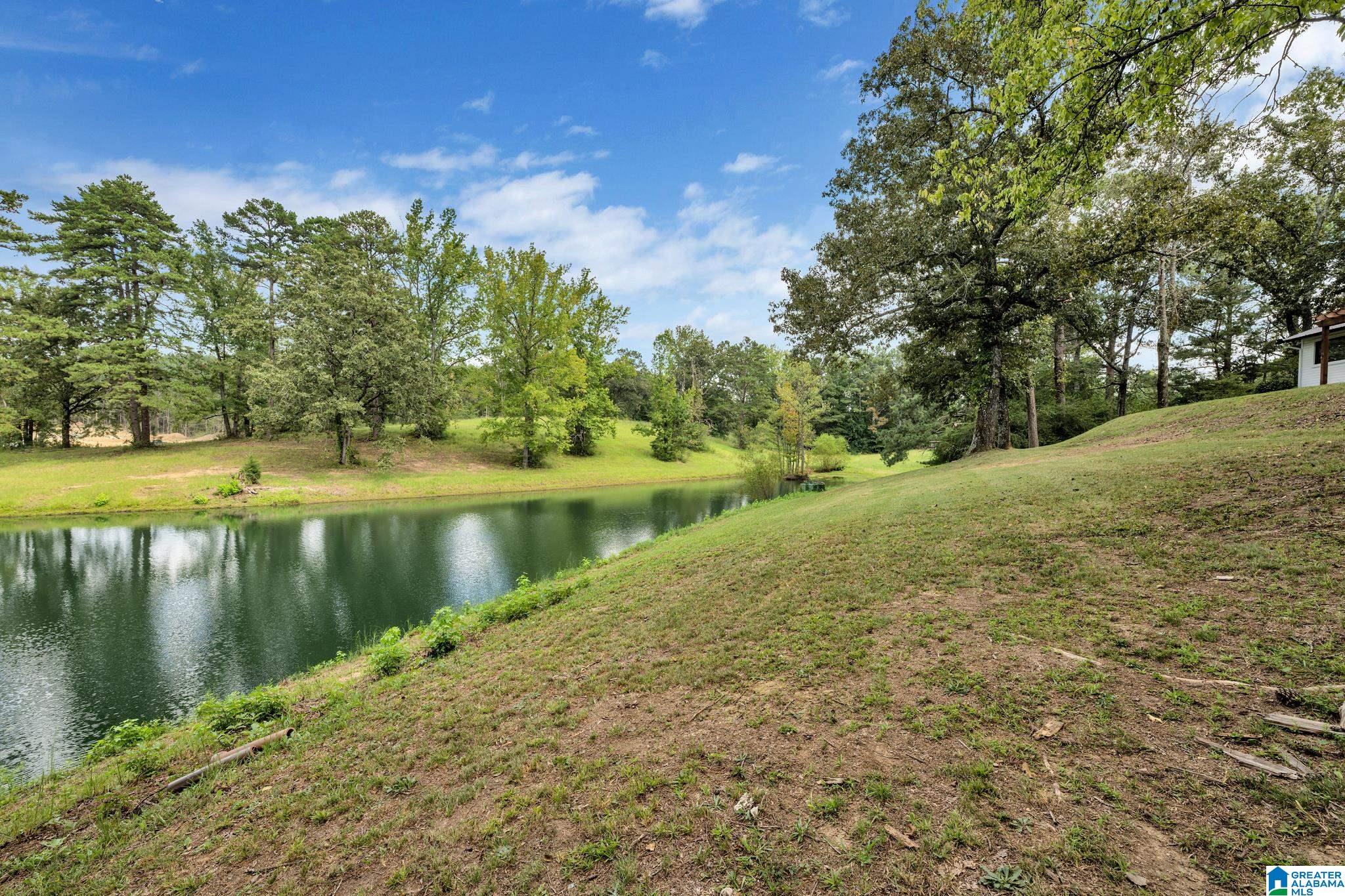 1088 Bob Glenn Road Morris, AL 35116 - Photo 3 of 59