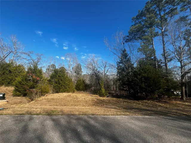 $14,500 | 731 North Frst Cv Loop, Coldspring, TX 77331