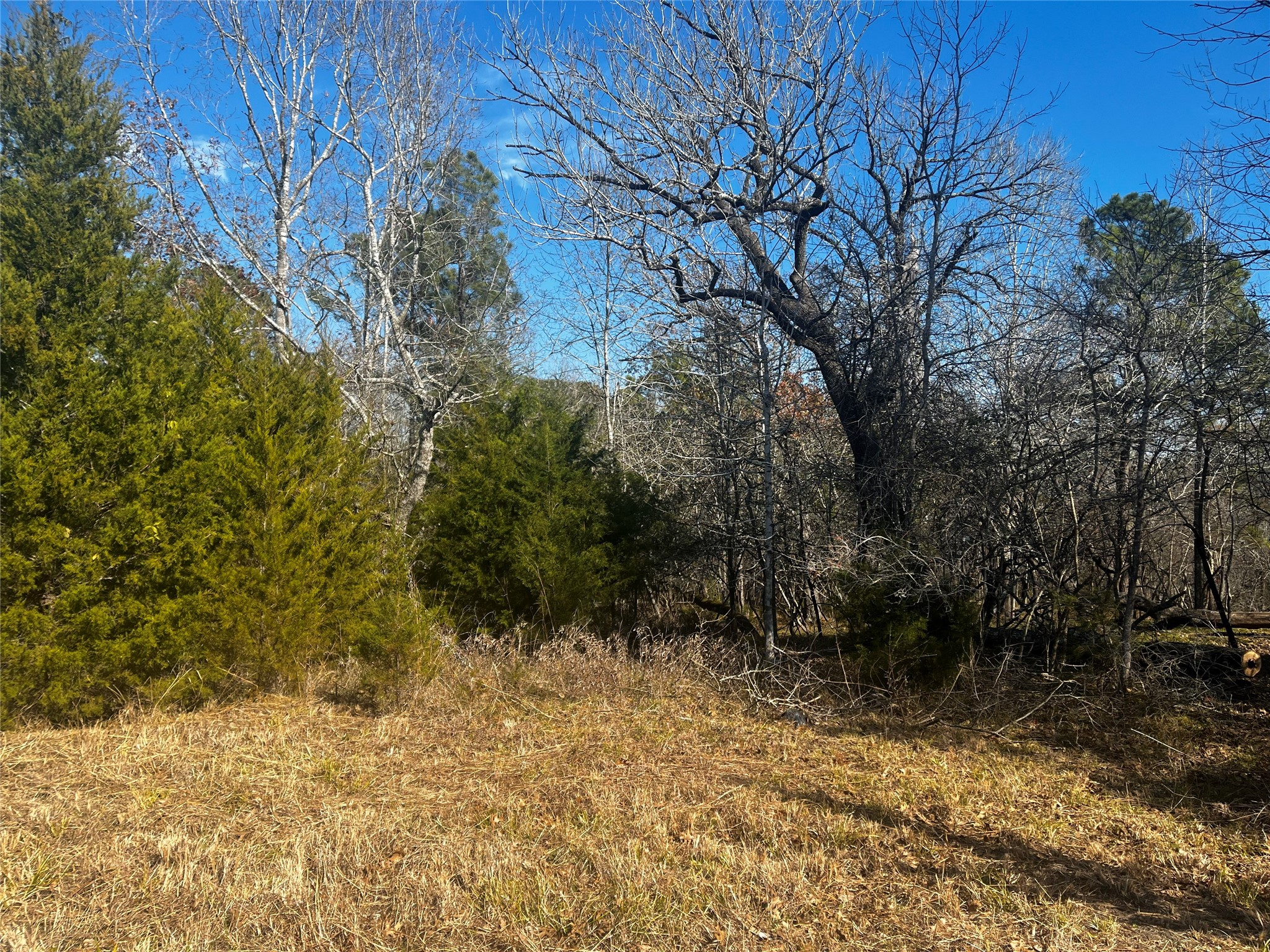 731 North Frst Cv Loop Coldspring, TX 77331 - Photo 3 of 16 Bring your builder and start planning your dream home today