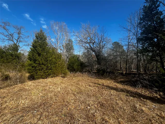 a view of a yard with trees