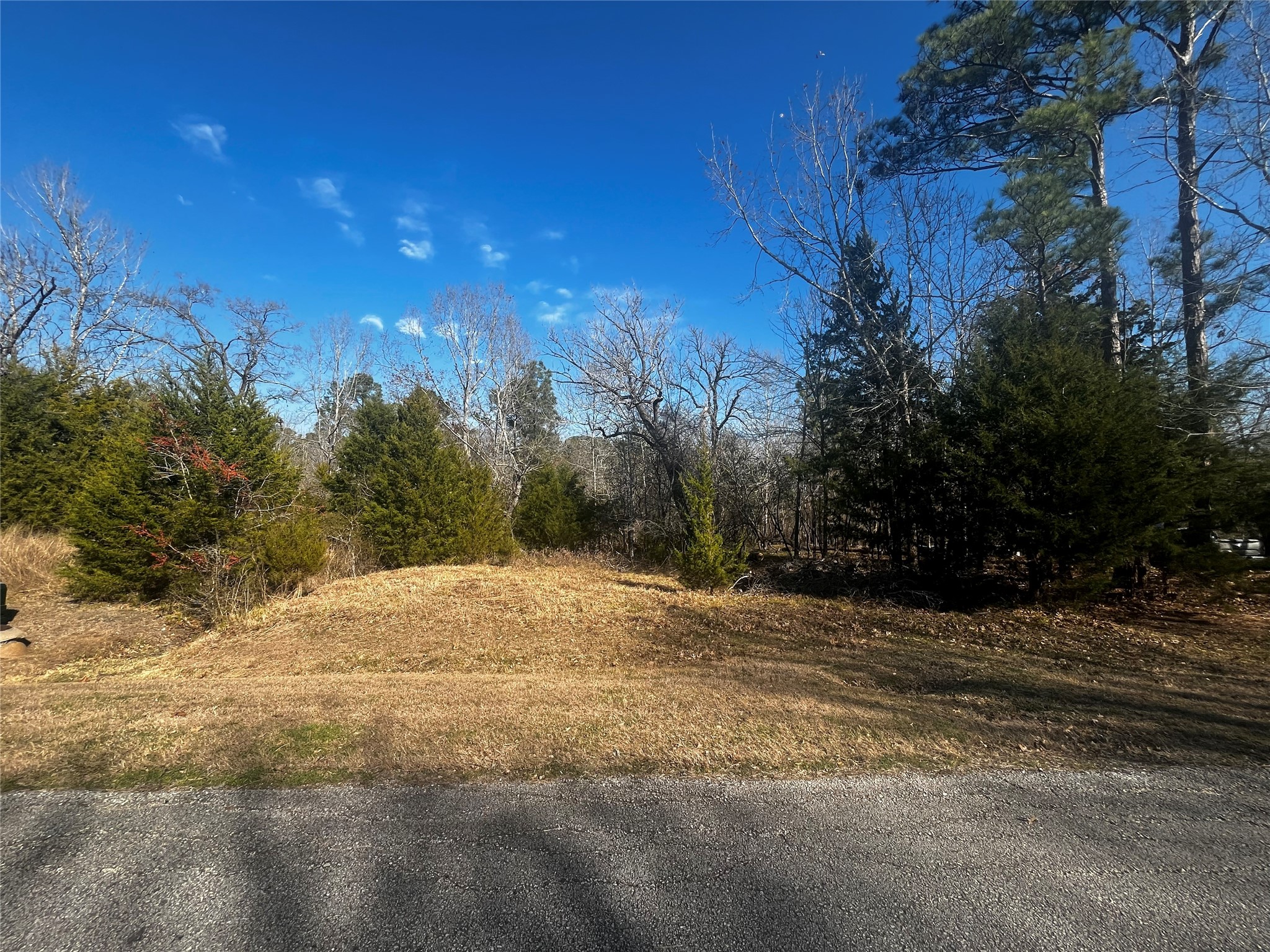 731 North Frst Cv Loop Coldspring, TX 77331 - Photo 5 of 16 Cape Royale delivers it all!