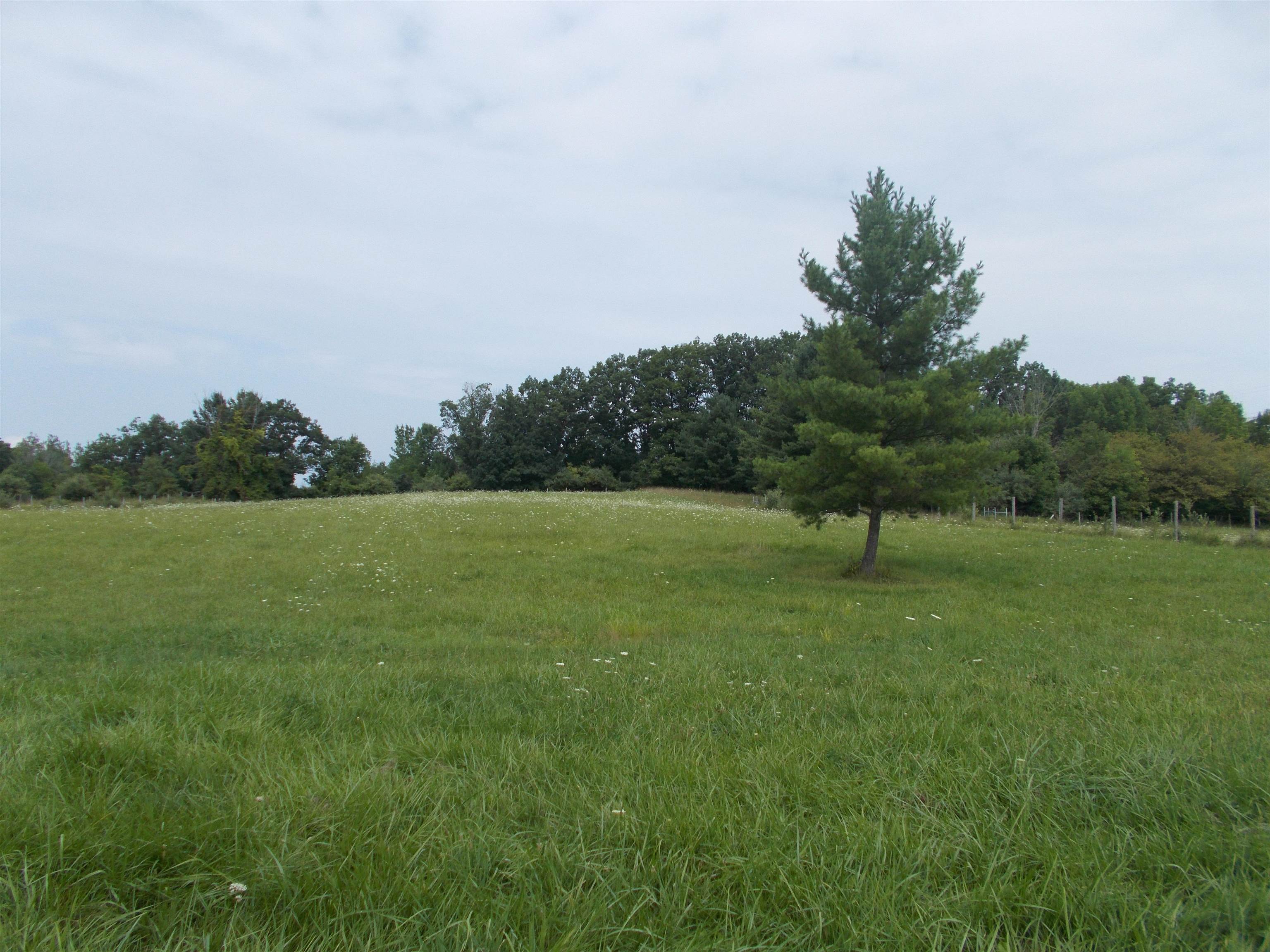 6572 Slosser Road Hale, MI 48739 - Photo 53 of 59