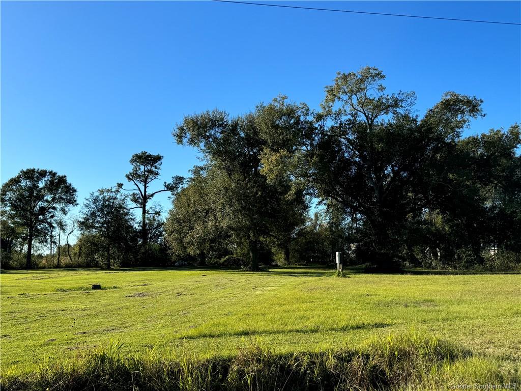 0 Barbara Hill Drive Ragley, LA 70657 - Photo 3 of 5