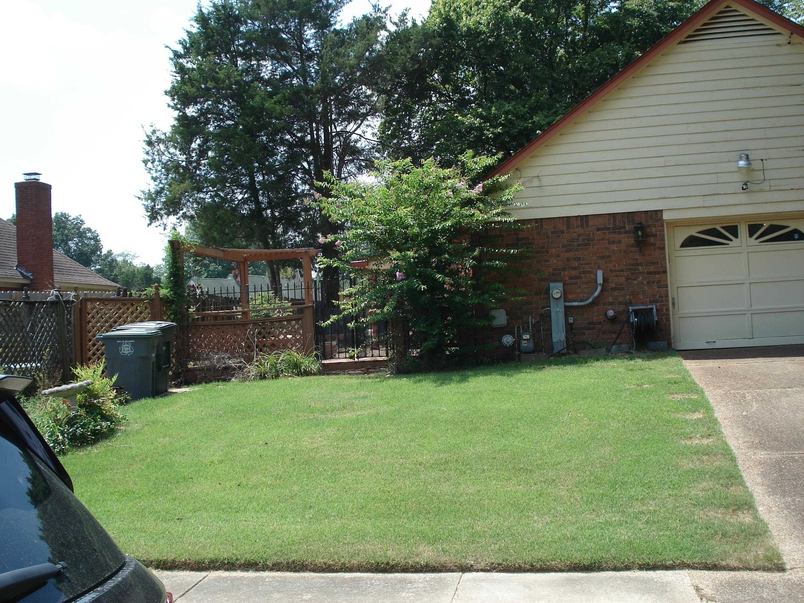 7111 Snyder Road Memphis, TN 38125 - Photo 7 of 20 View of yard