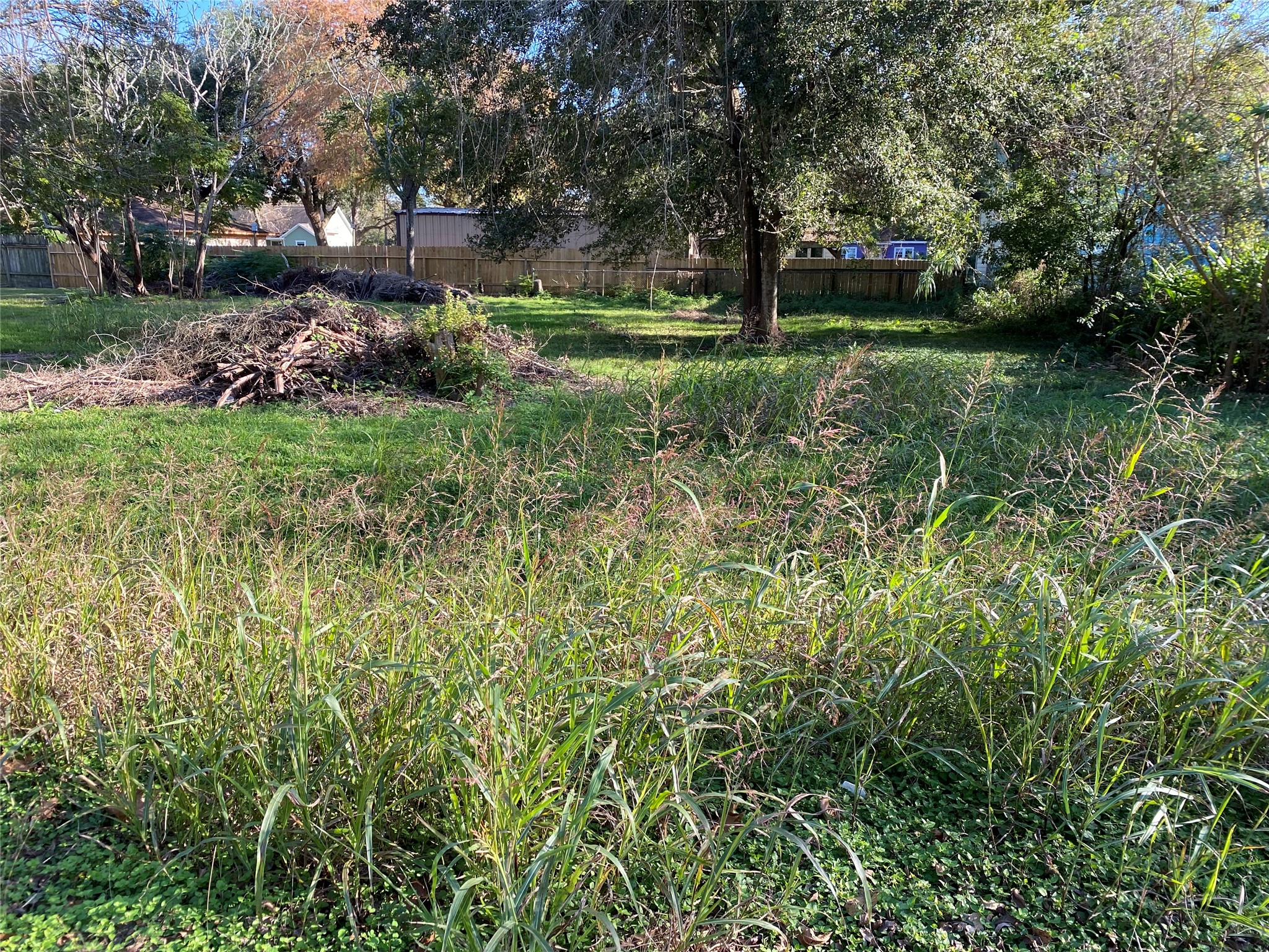 913 Chestnut Street La Marque, TX 77568 - Photo 2 of 2 a view of a park that has large trees