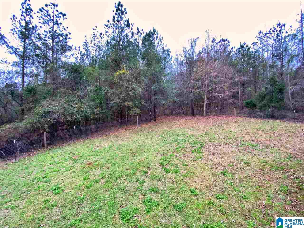 380 County Road 297 Road Selma, AL 36701 - Photo 4 of 14