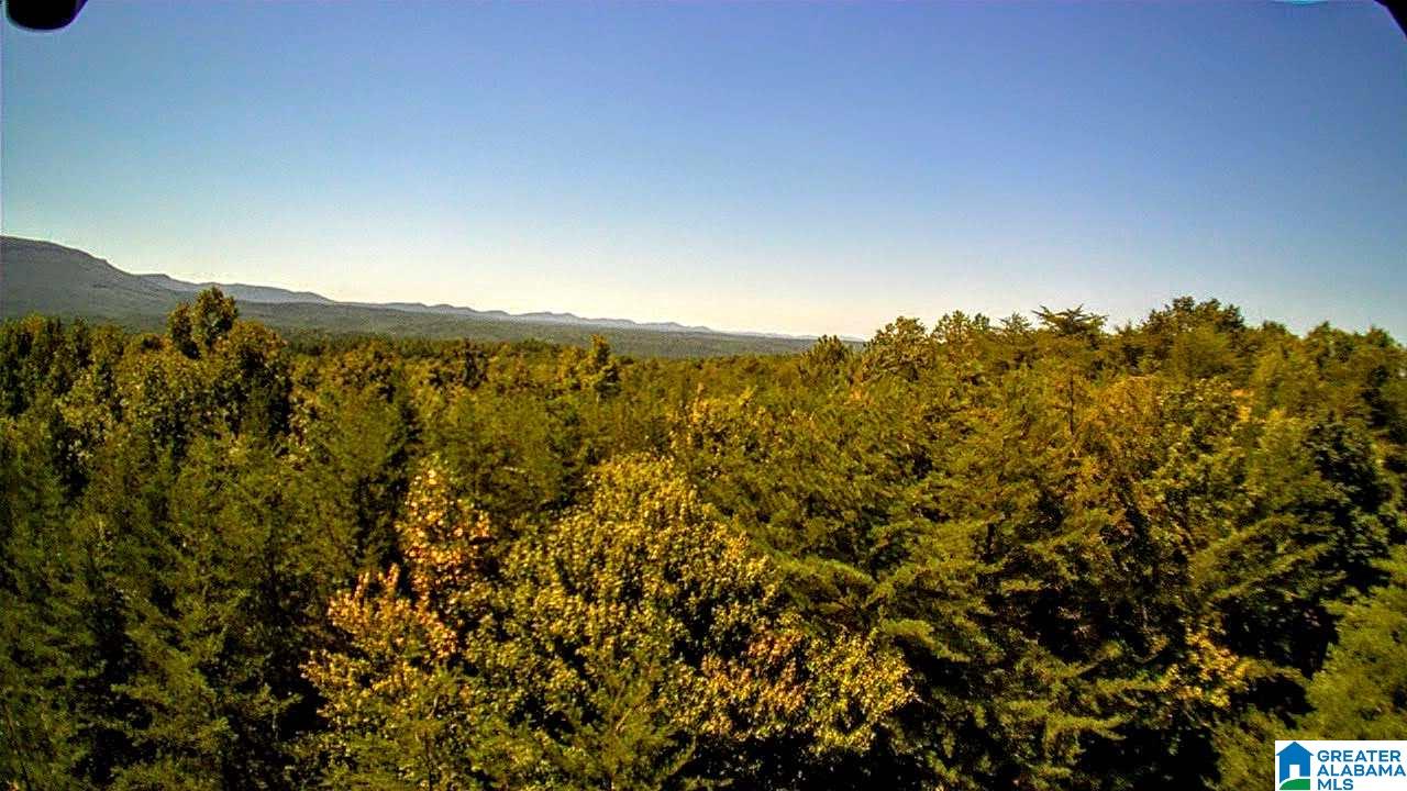 2565 Kentuck Road, Unit 4569 Oxford, AL 36203 - Photo 2 of 46