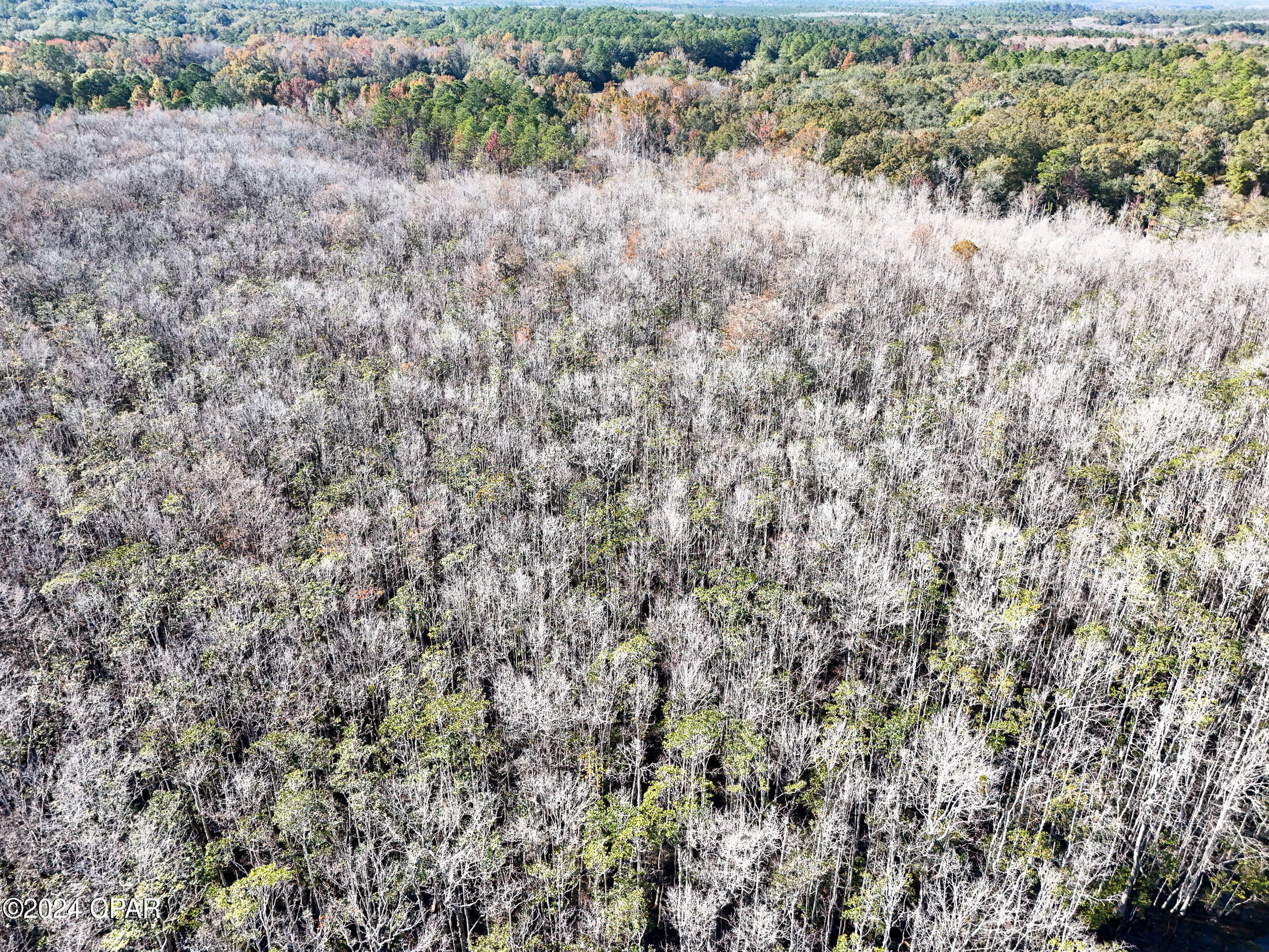 0 Malcolm Taylor Road Bonifay, FL 32425 - Photo 22 of 28