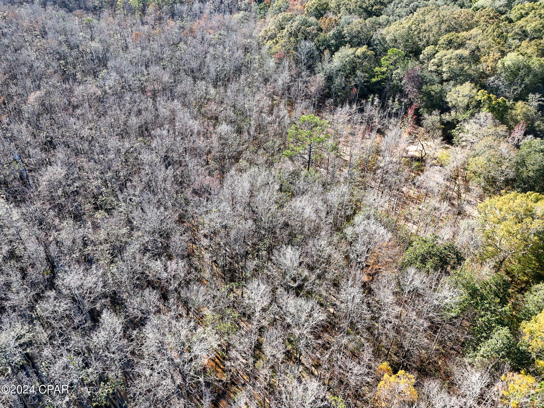 0 Malcolm Taylor Road Bonifay, FL 32425 - Photo 23 of 28