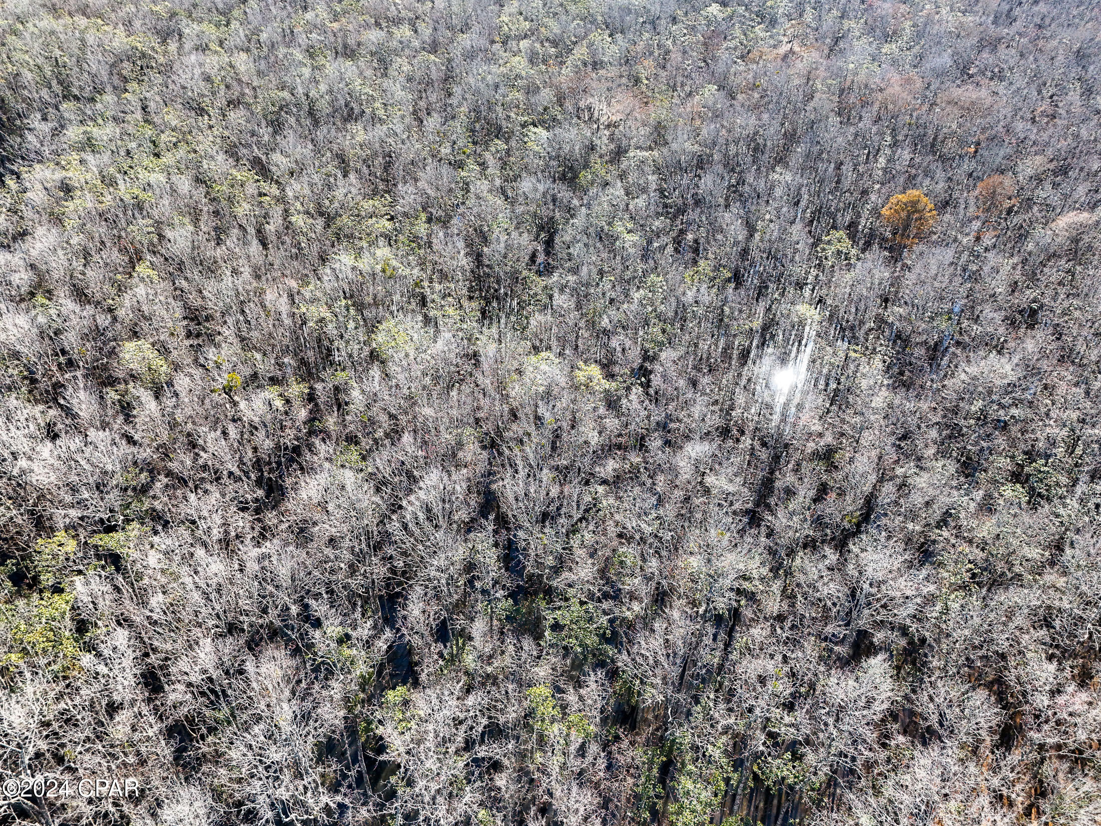 0 Malcolm Taylor Road Bonifay, FL 32425 - Photo 24 of 28