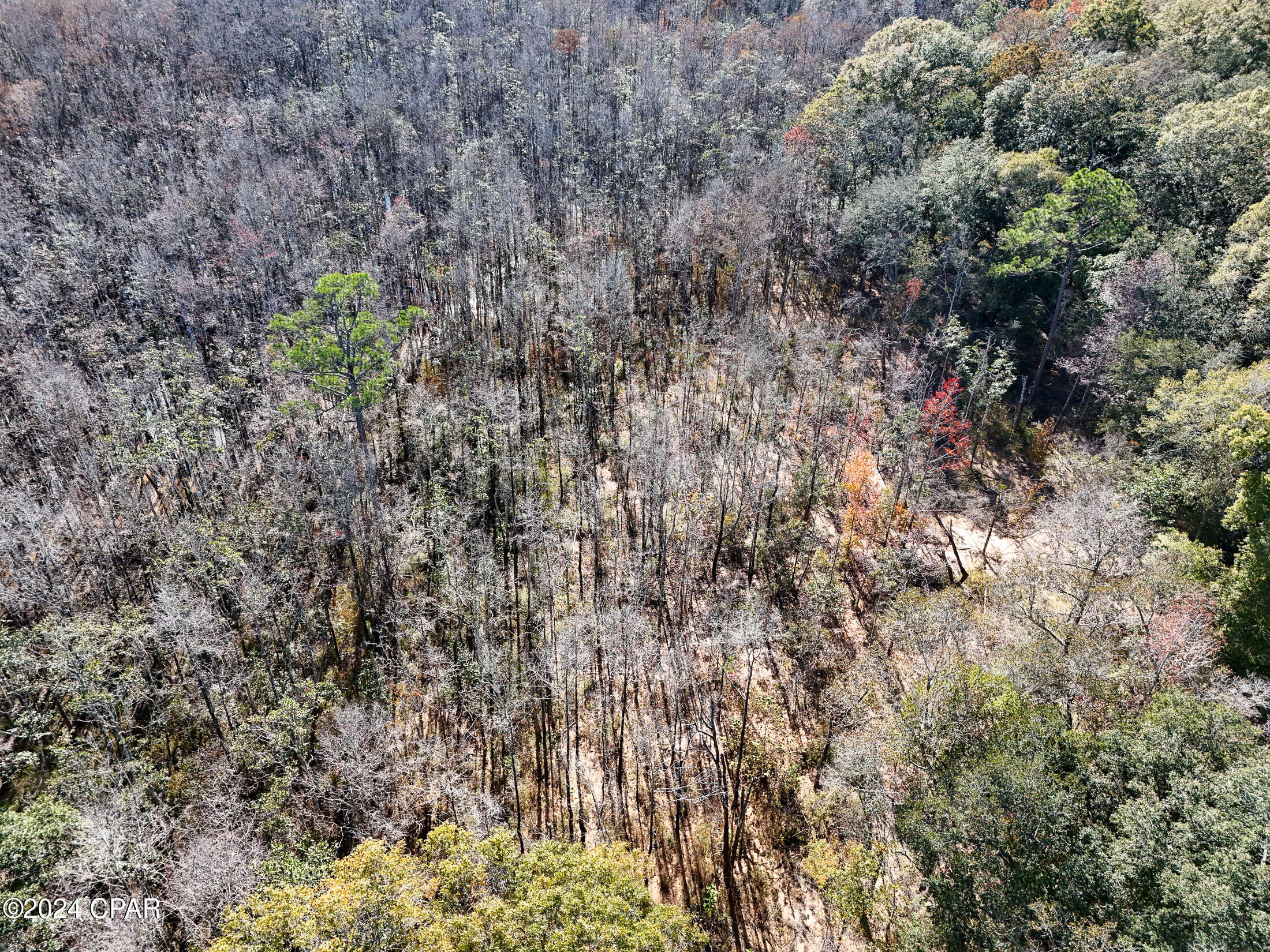 0 Malcolm Taylor Road Bonifay, FL 32425 - Photo 27 of 28