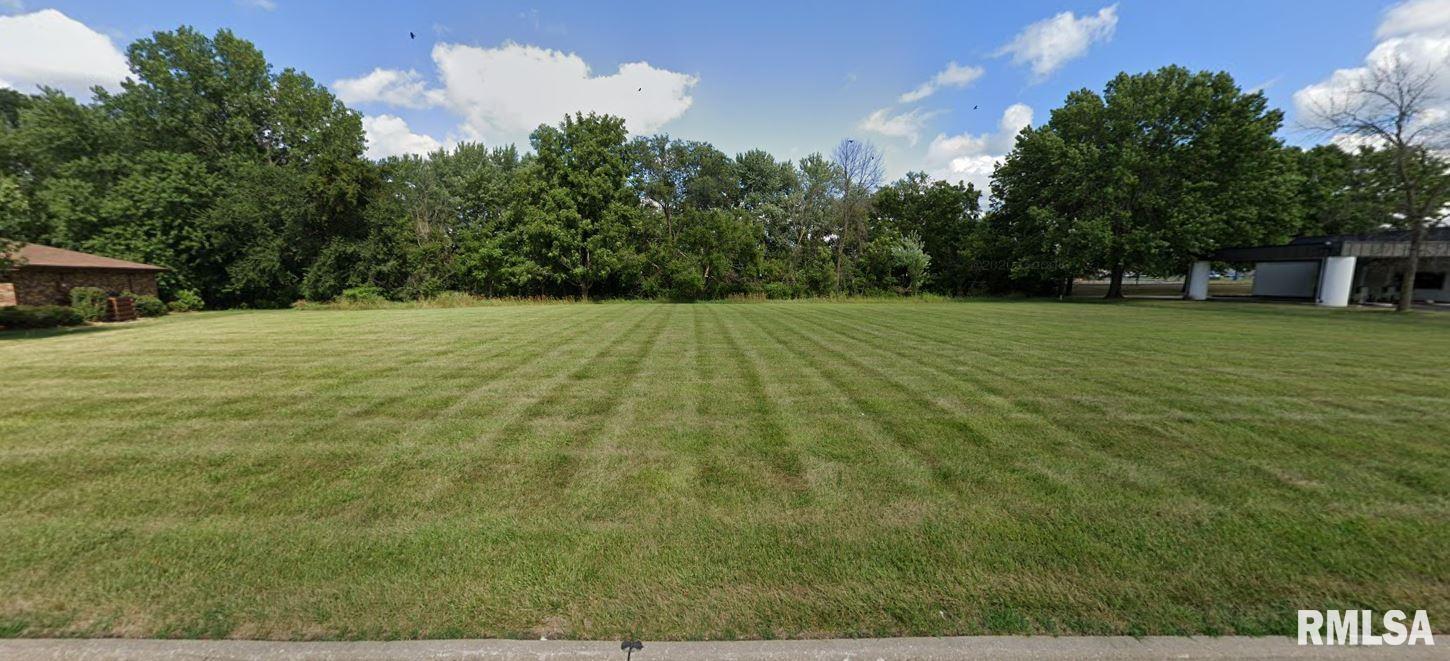 a big yard with trees in the background