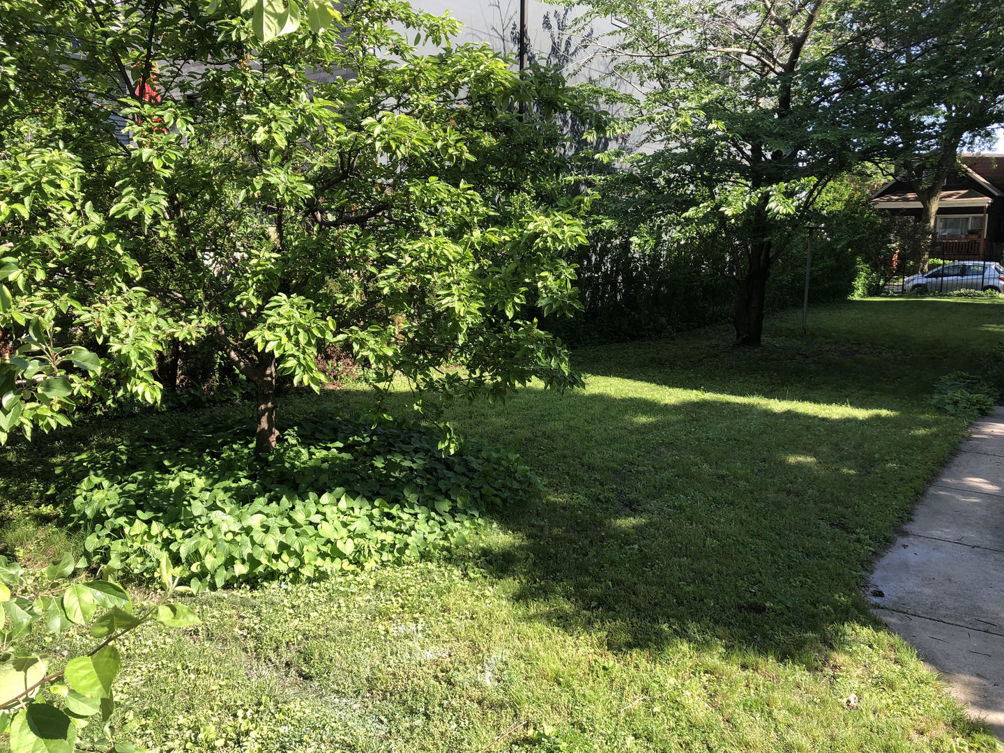a backyard of a house with lots of green space