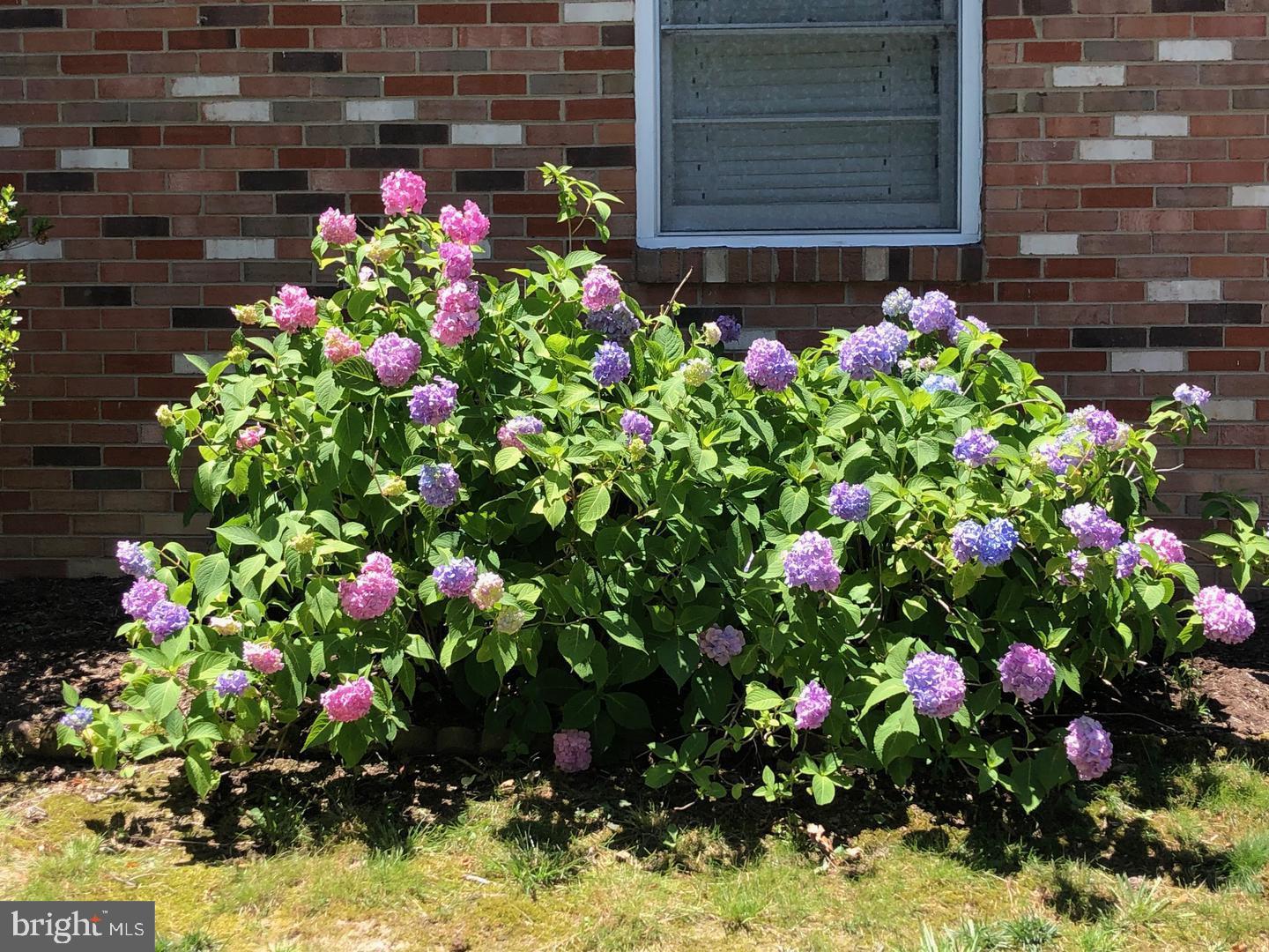 7117 Hadlow Court Springfield, VA 22152 - Photo 36 of 36