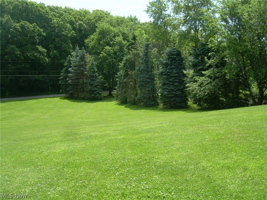 2045 Palm Road Mogadore, OH 44260 - Photo 11 of 29 Gallery Image 11