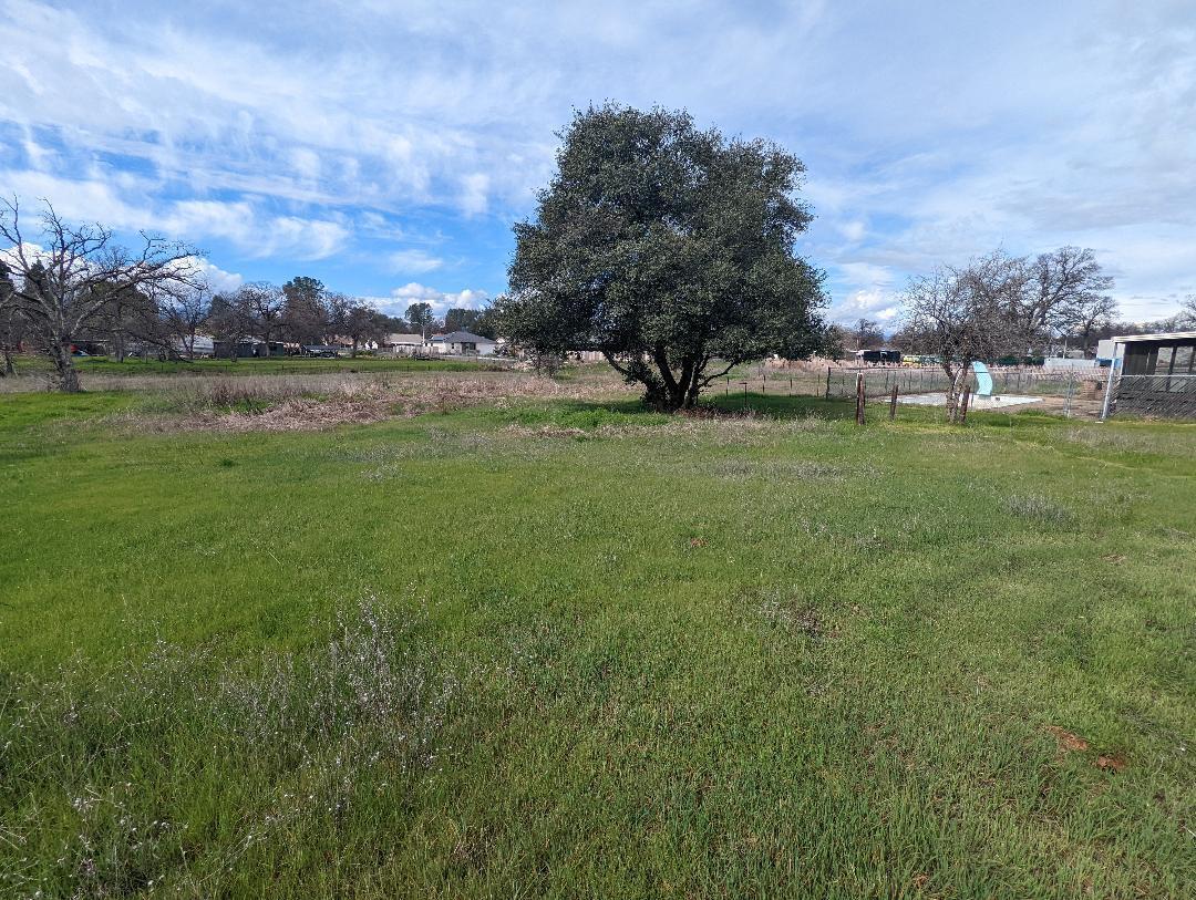 2341 Old Alturas Road Redding, CA 96003 - Photo 3 of 29 Back yard