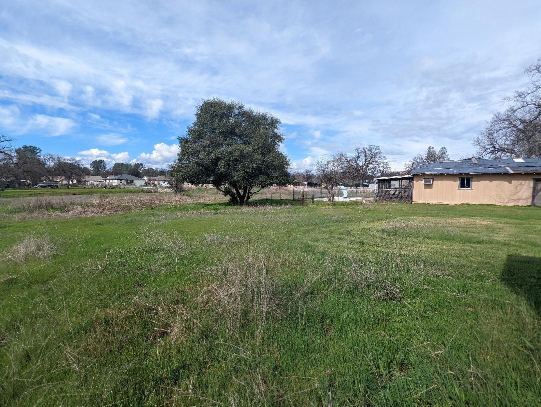 2341 Old Alturas Road Redding, CA 96003 - Photo 5 of 29 Back yard2