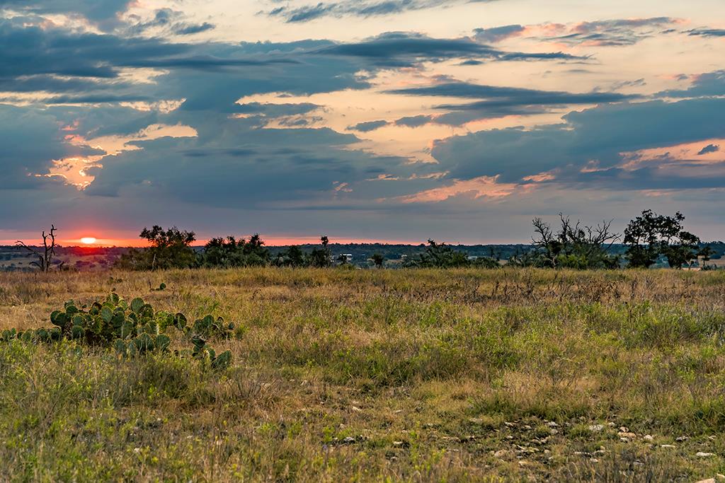 4551 Reeh Road Fredericksburg, TX 78624 - Photo 40 of 69 Gallery Image 40