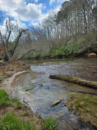 $75,000 | 0 McGlamery Farm Drive, Hayesville, NC 28904