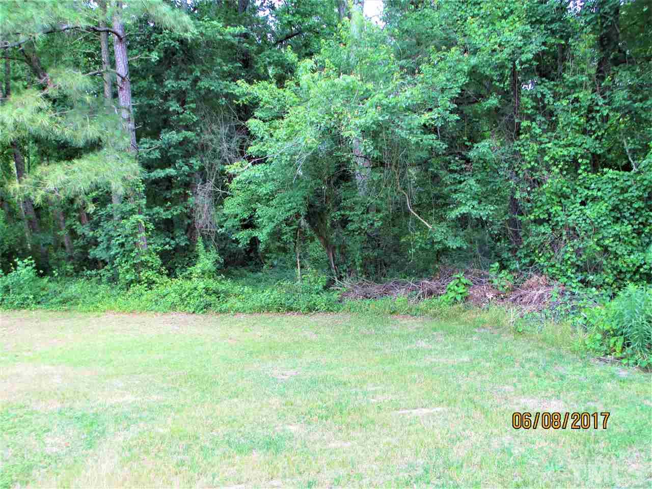 1200 White Memorial Church Road Willow Spring, NC 27592 - Photo 10 of 25 Lush Backyard!