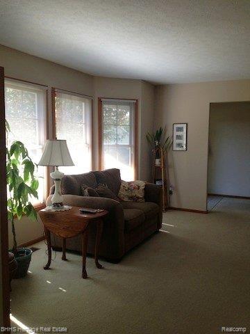 8855 McColl Road Brighton, MI 48116 - Photo 7 of 13 Image 5.jpg