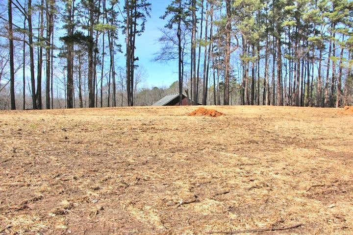 Lot 80-81 Cherokee Road Lucas, KY 42156 - Photo 1 of 7 Gallery Image 1