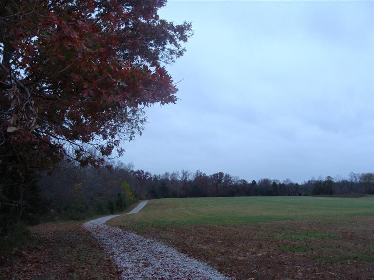 99 Bark Road Waco, KY 40385 - Photo 11 of 13 Photo 11