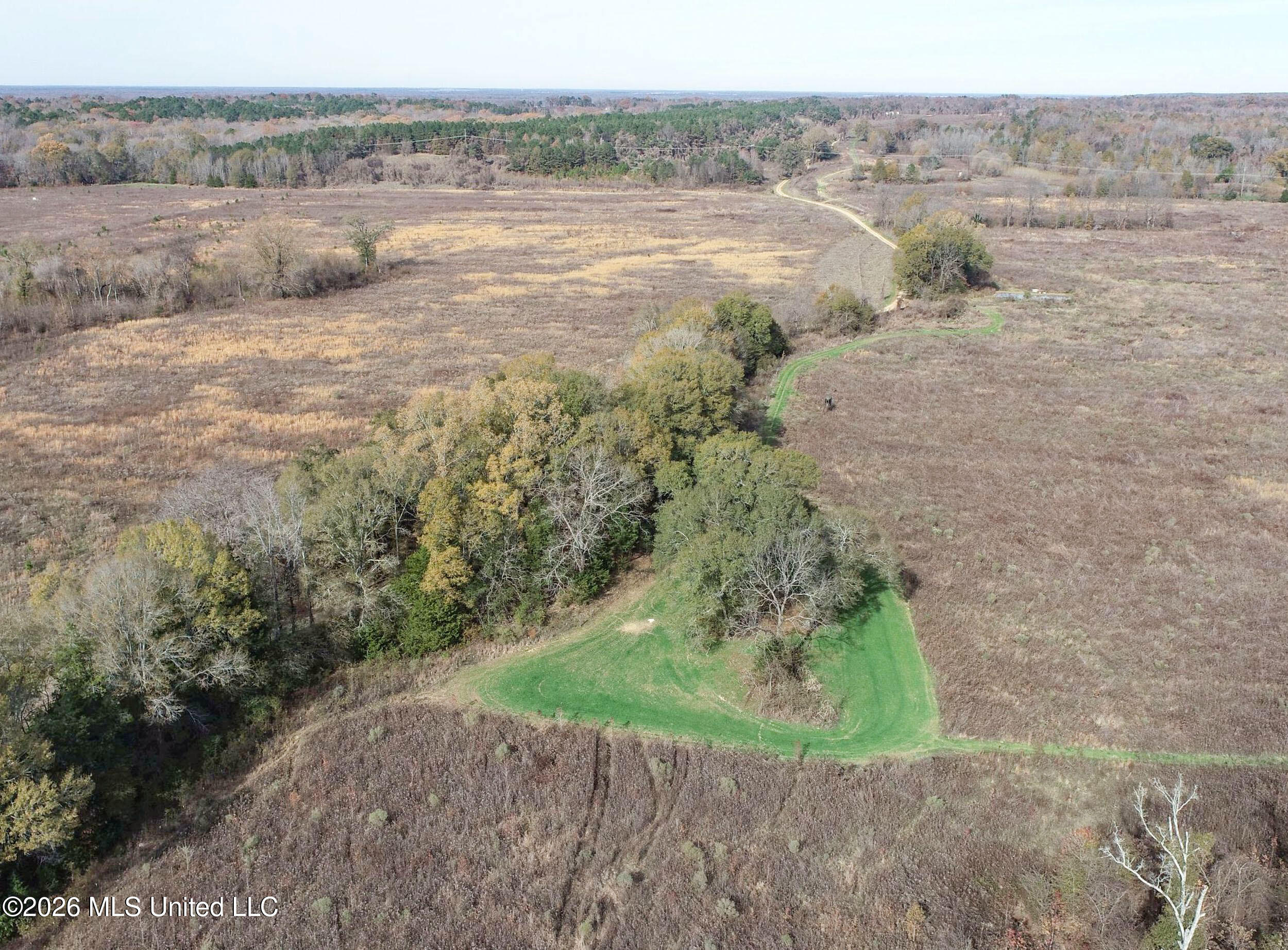 Chinqupin Road Lexington, MS 39095 - Photo 19 of 210 5chqpn4