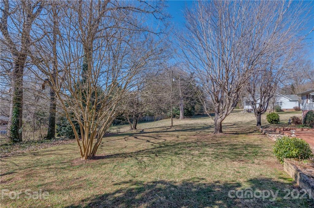 285 Tanner Street Rutherfordton, NC 28139 - Photo 38 of 39 a view of dirt yard with a tree