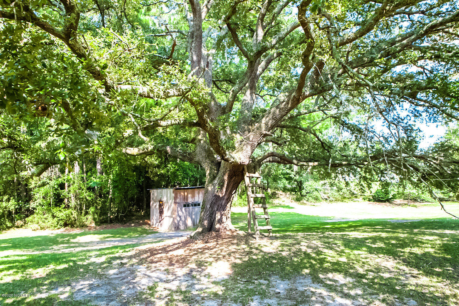 114 Loop Road Leland, NC 28451 - Photo 8 of 21 Live Oak & Garden Shed