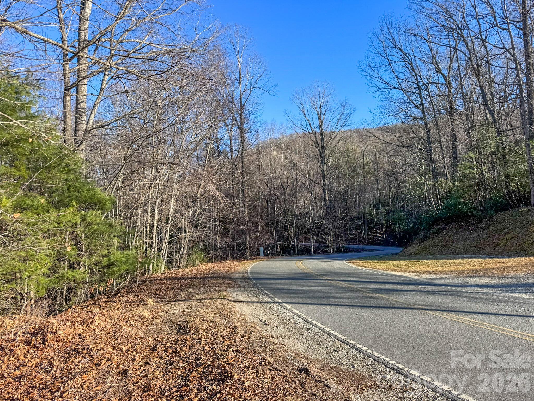 0 Old CCC Road, Unit 3 Hendersonville, NC 28739 - Photo 11 of 43 a view of a yard with large trees