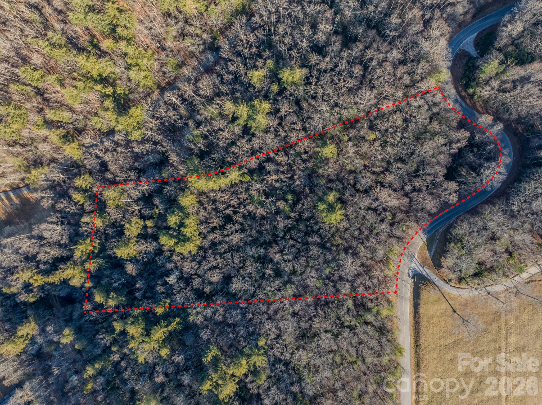 0 Old CCC Road, Unit 3 Hendersonville, NC 28739 - Photo 15 of 43 a picture of tree