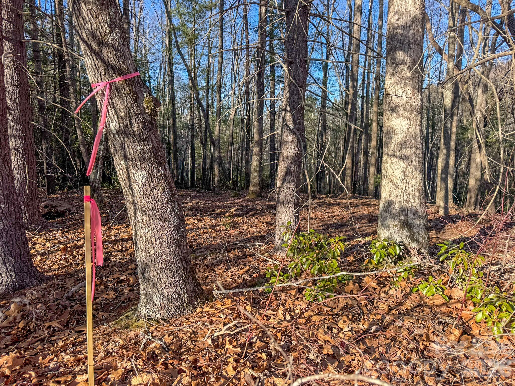 0 Old CCC Road, Unit 3 Hendersonville, NC 28739 - Photo 16 of 43 a backyard of a house with lots of green space