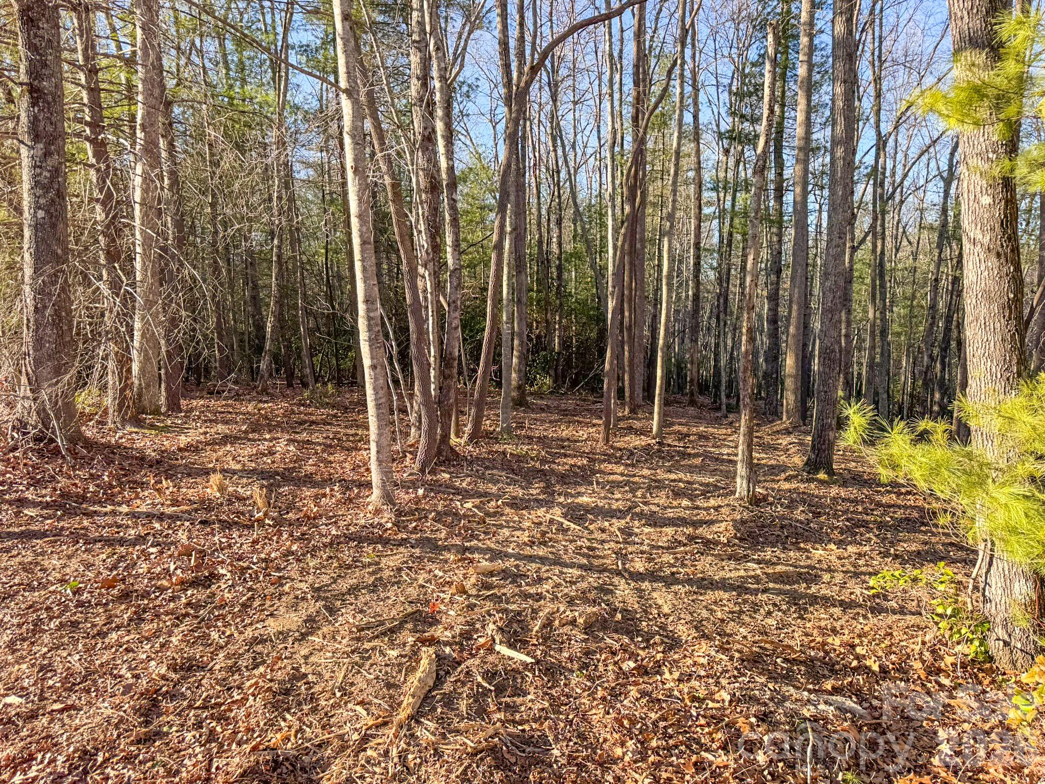 0 Old CCC Road, Unit 3 Hendersonville, NC 28739 - Photo 17 of 43 a backyard of a house with lots of green space