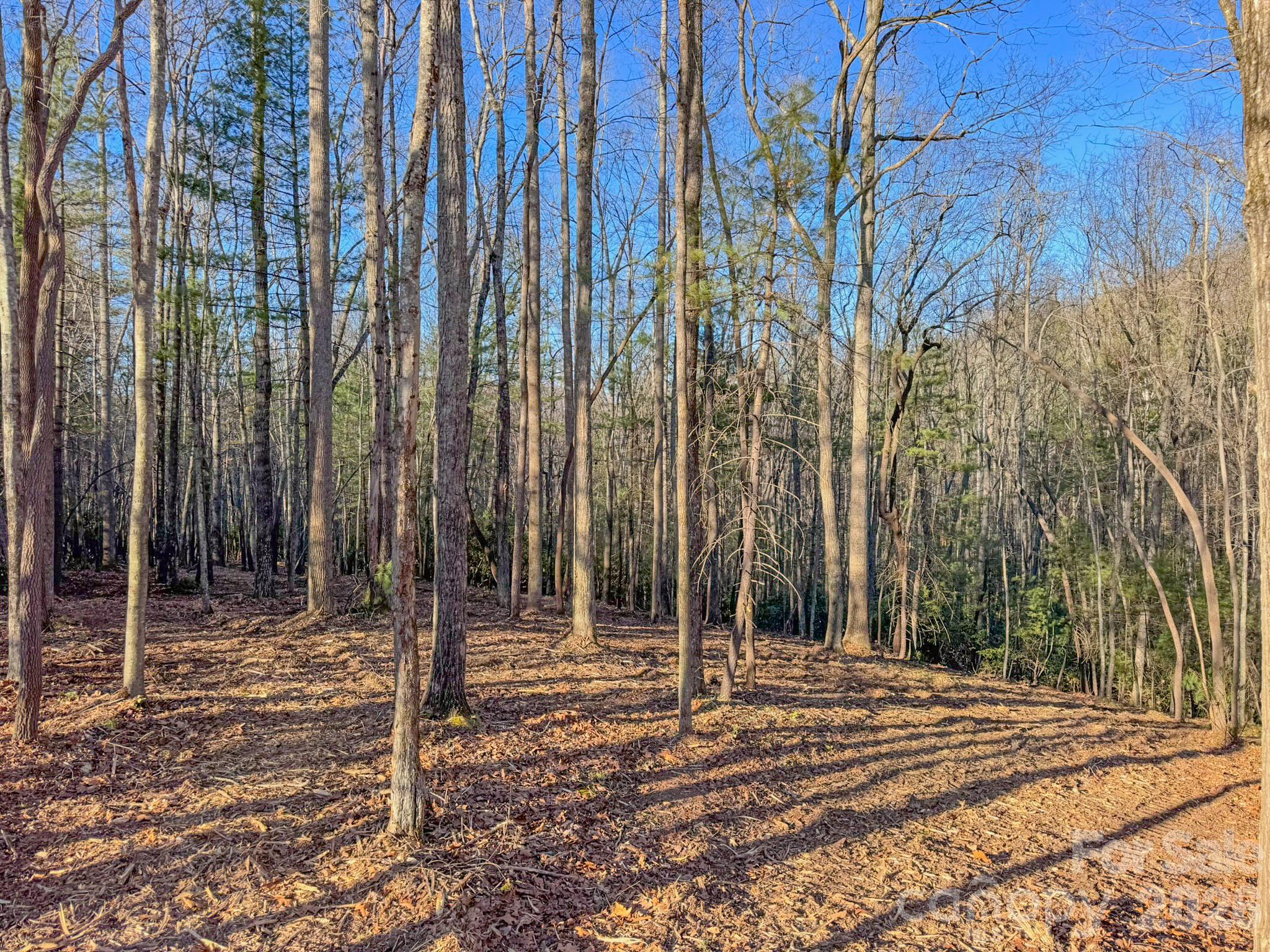0 Old CCC Road, Unit 3 Hendersonville, NC 28739 - Photo 18 of 43 a house with a trees in the background