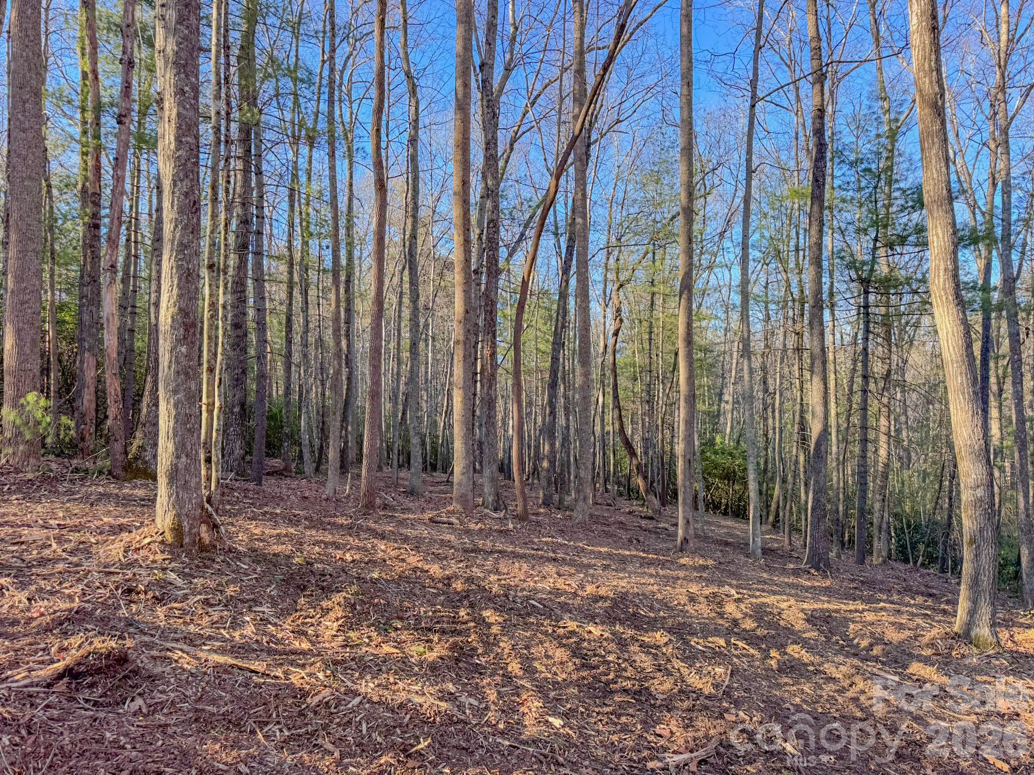 0 Old CCC Road, Unit 3 Hendersonville, NC 28739 - Photo 19 of 43 a view of outdoor space with wooden fence