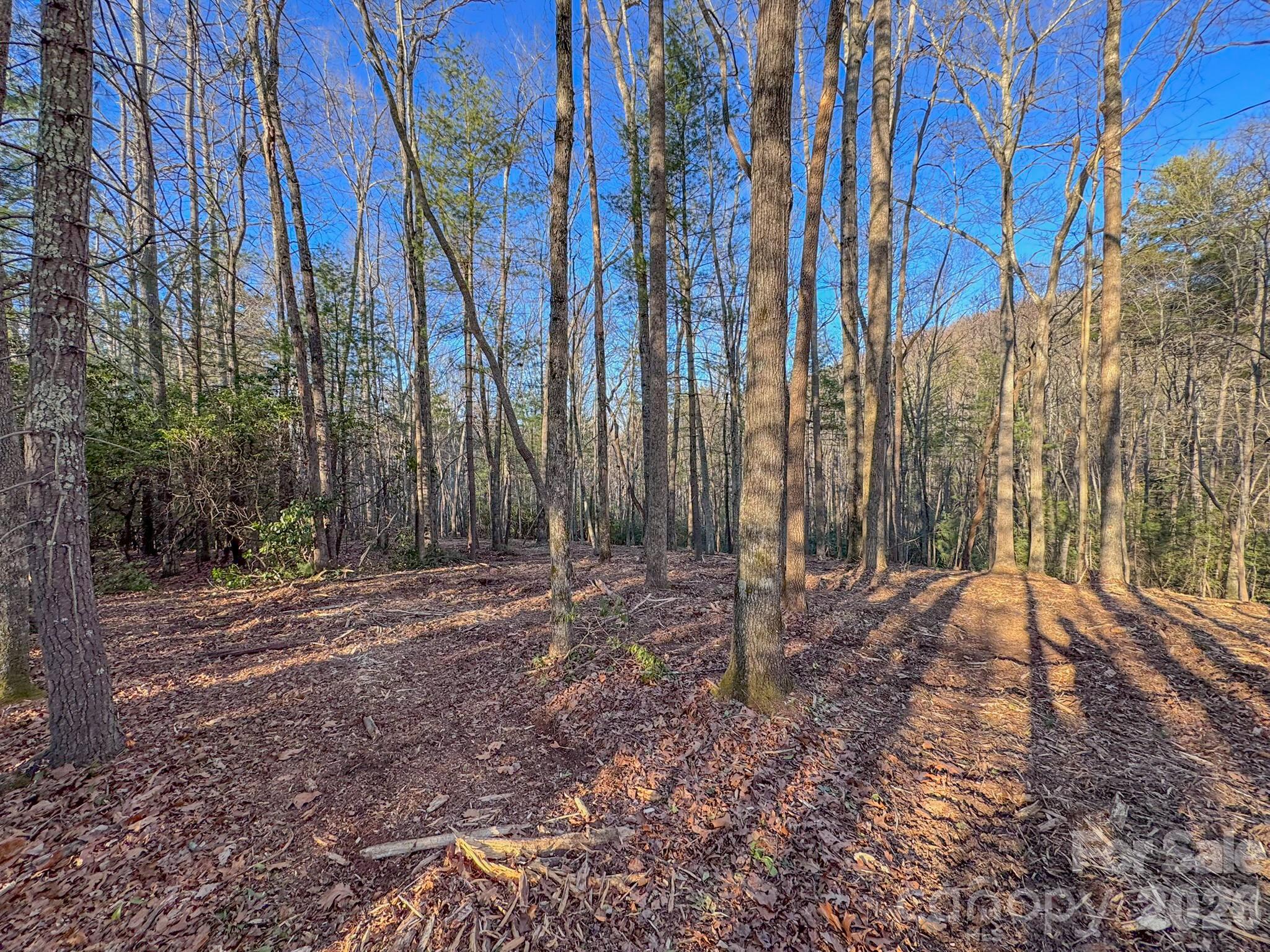 0 Old CCC Road, Unit 3 Hendersonville, NC 28739 - Photo 20 of 43 a backyard of a house with lots of green space