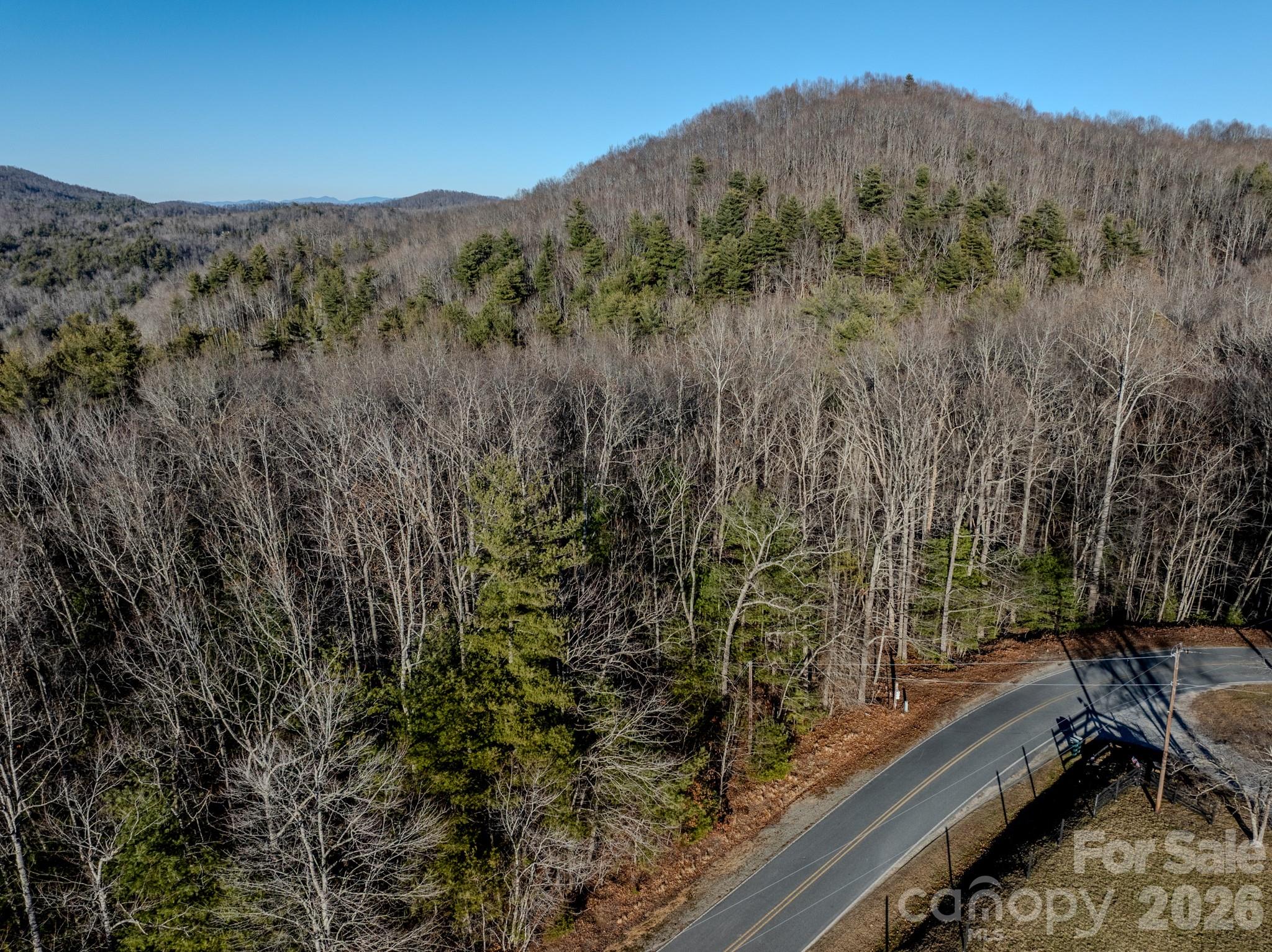 0 Old CCC Road, Unit 3 Hendersonville, NC 28739 - Photo 2 of 43 a view of a forest with a forest