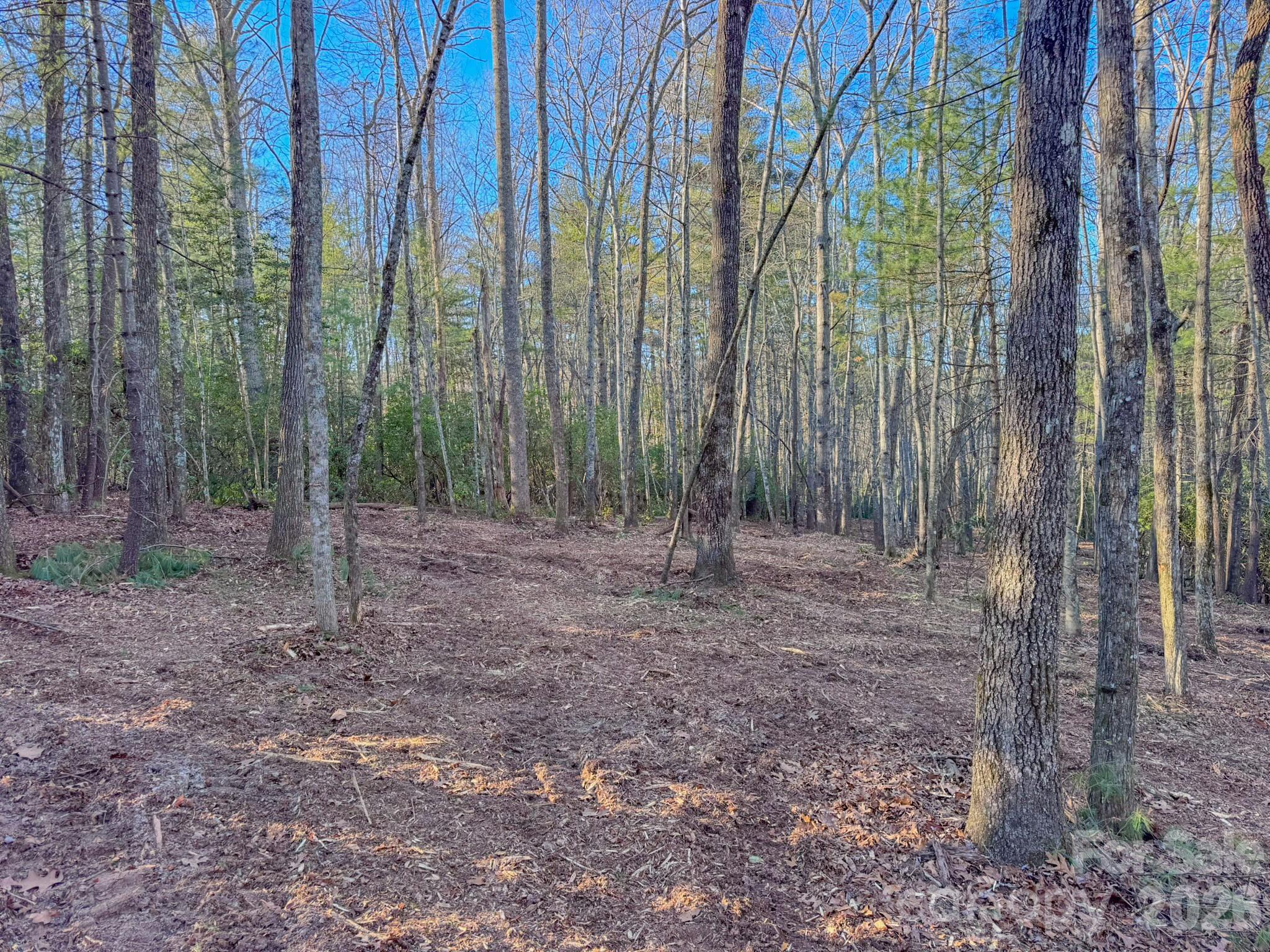 0 Old CCC Road, Unit 3 Hendersonville, NC 28739 - Photo 21 of 43 a view of outdoor space with green space