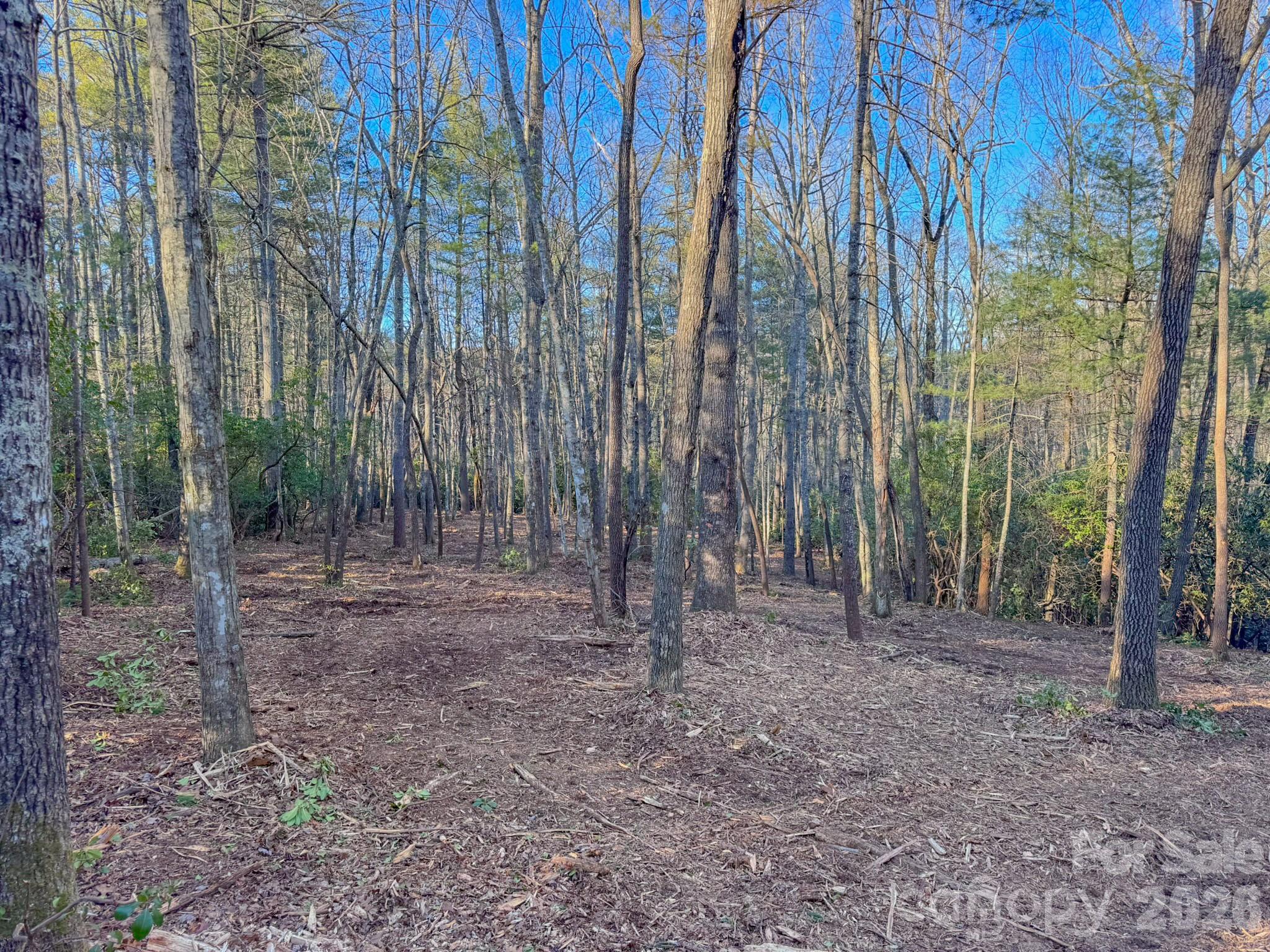 0 Old CCC Road, Unit 3 Hendersonville, NC 28739 - Photo 22 of 43 a view of a backyard with trees