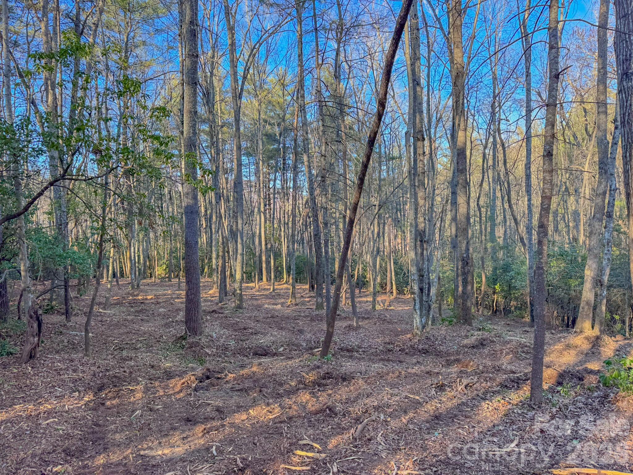 0 Old CCC Road, Unit 3 Hendersonville, NC 28739 - Photo 24 of 43 a view of outdoor space with deck and trees