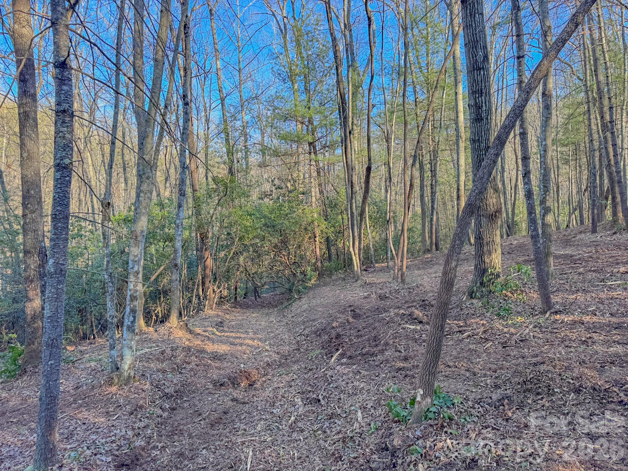 0 Old CCC Road, Unit 3 Hendersonville, NC 28739 - Photo 25 of 43 a view of a forest with a trees