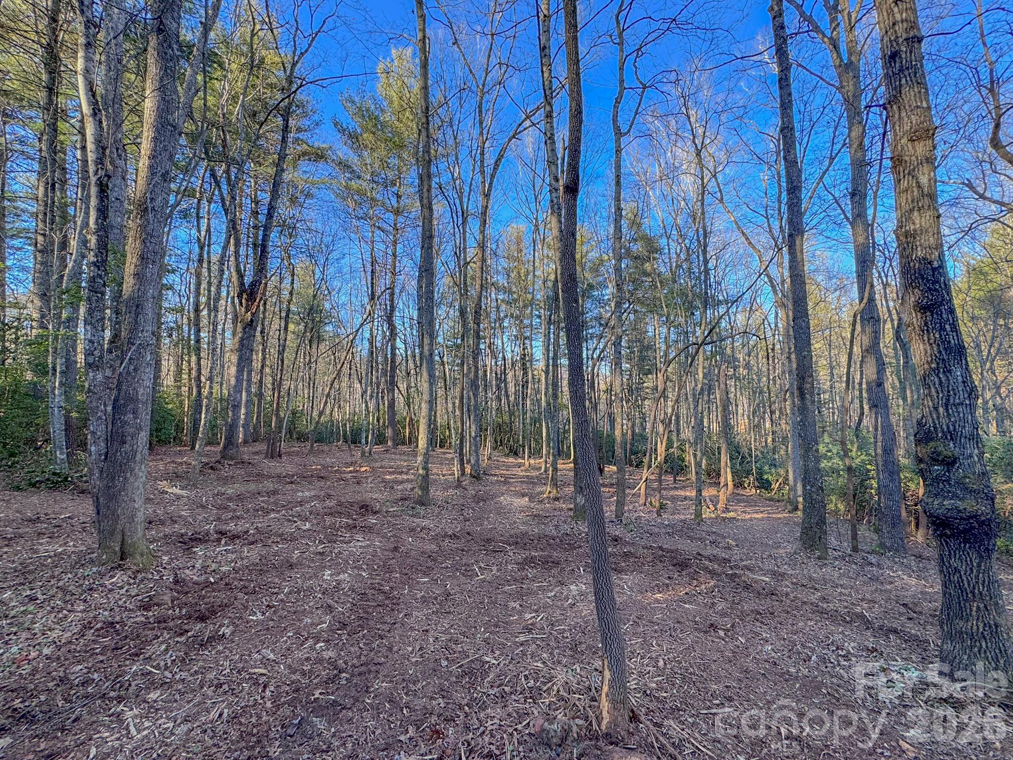 0 Old CCC Road, Unit 3 Hendersonville, NC 28739 - Photo 26 of 43 a view of outdoor space with green space