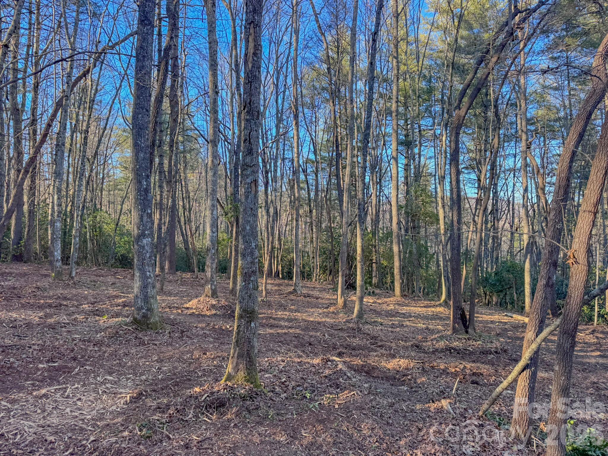 0 Old CCC Road, Unit 3 Hendersonville, NC 28739 - Photo 27 of 43 a view of a backyard with trees