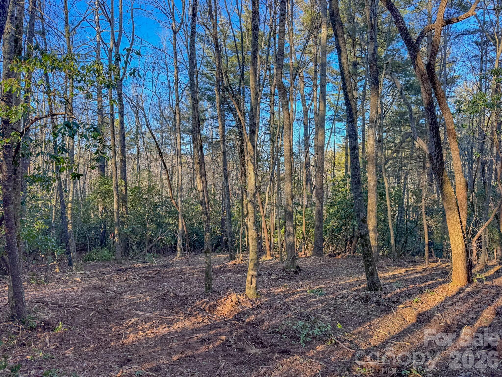 0 Old CCC Road, Unit 3 Hendersonville, NC 28739 - Photo 28 of 43 a view of outdoor space with lots of trees