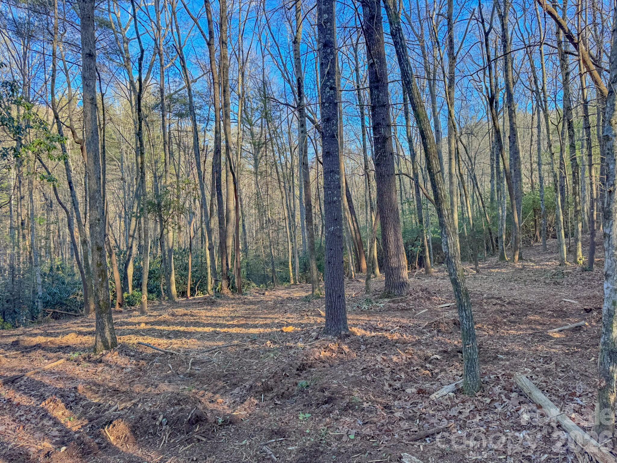 0 Old CCC Road, Unit 3 Hendersonville, NC 28739 - Photo 29 of 43 a backyard of a house with lots of green space