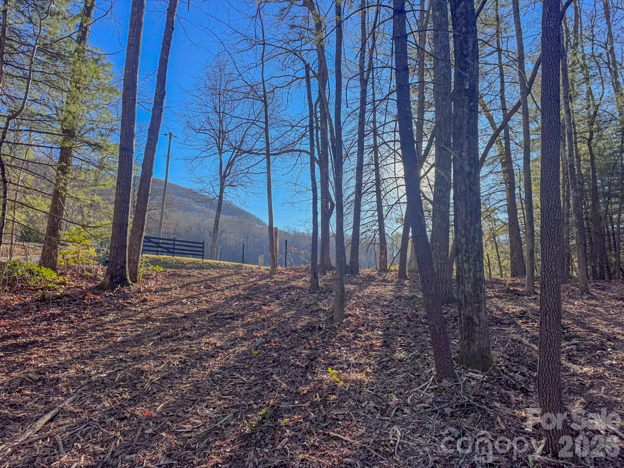 0 Old CCC Road, Unit 3 Hendersonville, NC 28739 - Photo 30 of 43 a view of a backyard with trees