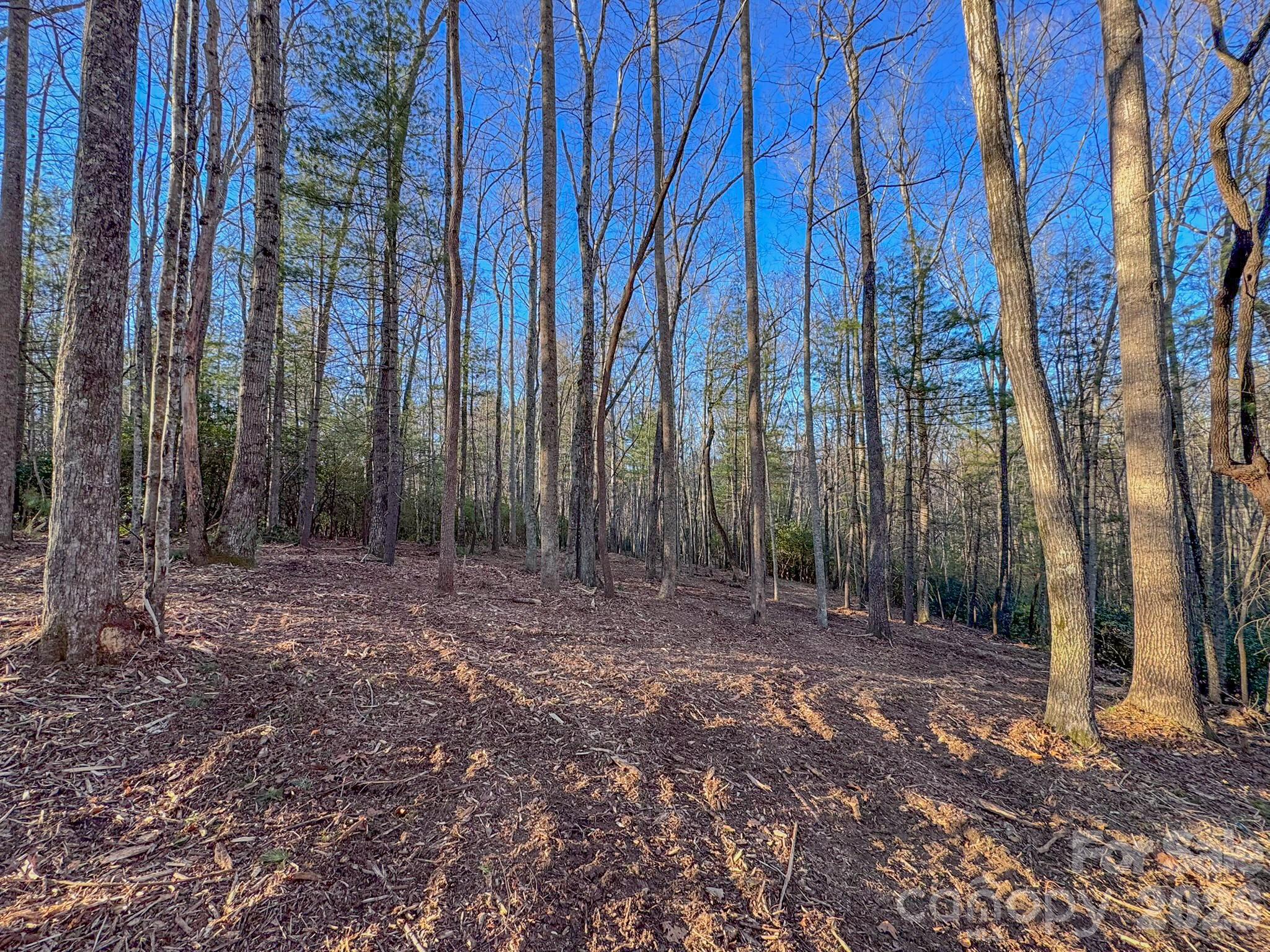 0 Old CCC Road, Unit 3 Hendersonville, NC 28739 - Photo 31 of 43 a view of a backyard with trees
