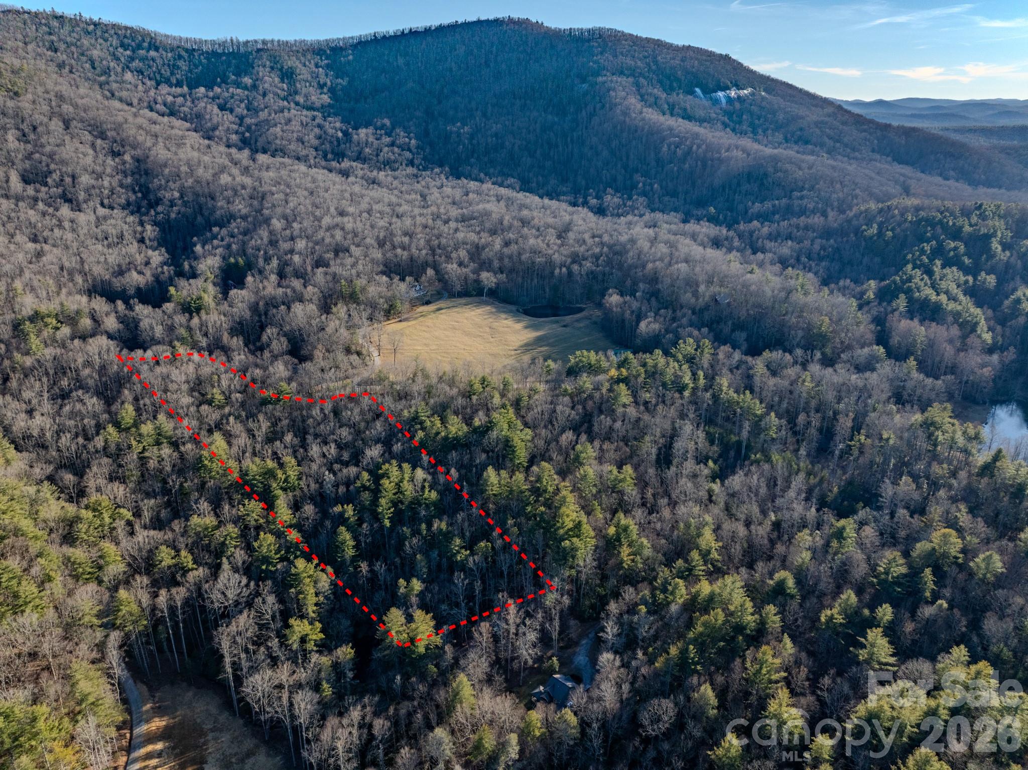 0 Old CCC Road, Unit 3 Hendersonville, NC 28739 - Photo 34 of 43 a view of a forest with a forest