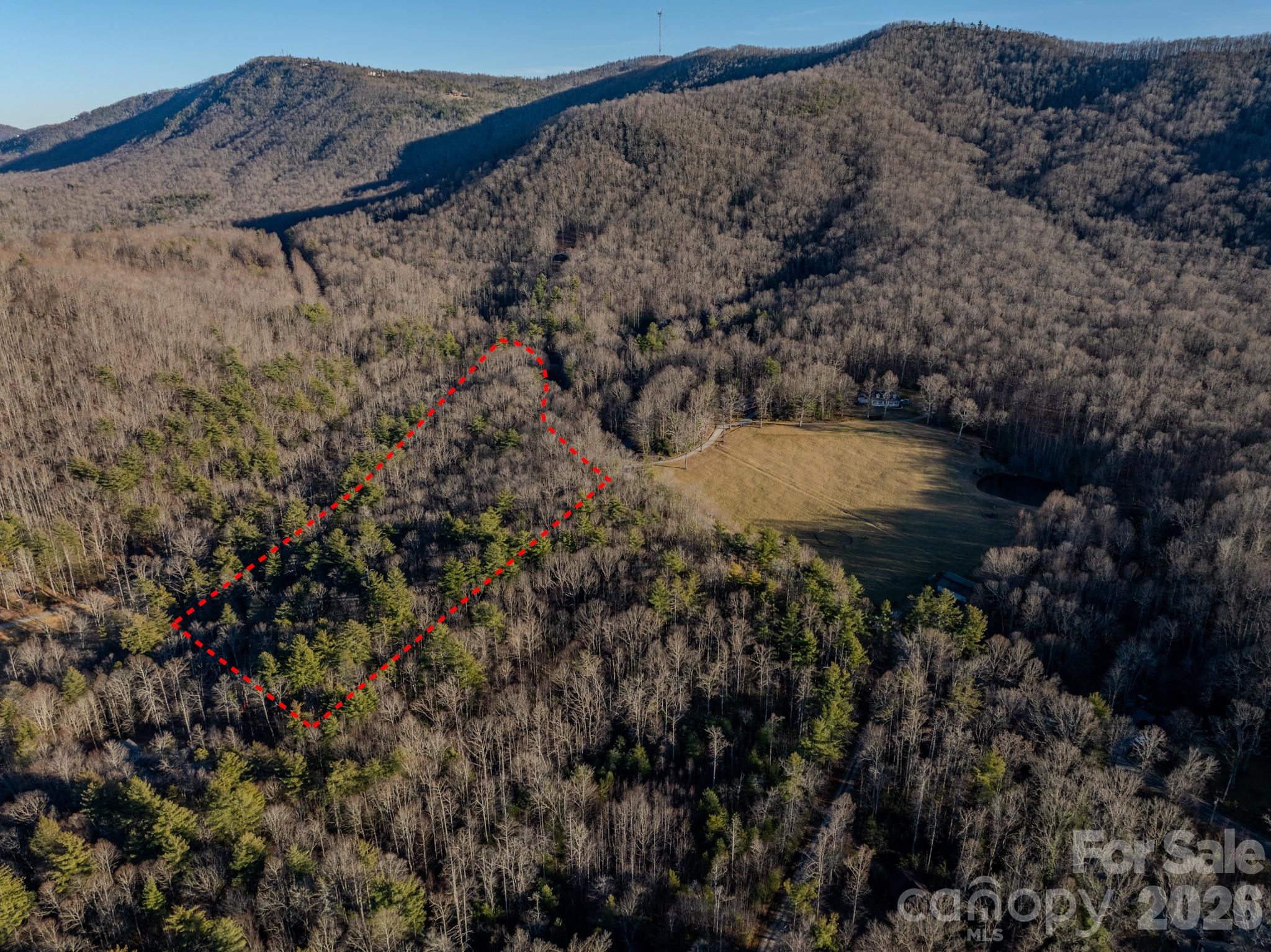 0 Old CCC Road, Unit 3 Hendersonville, NC 28739 - Photo 35 of 43 a view of a dry yard with lots of trees
